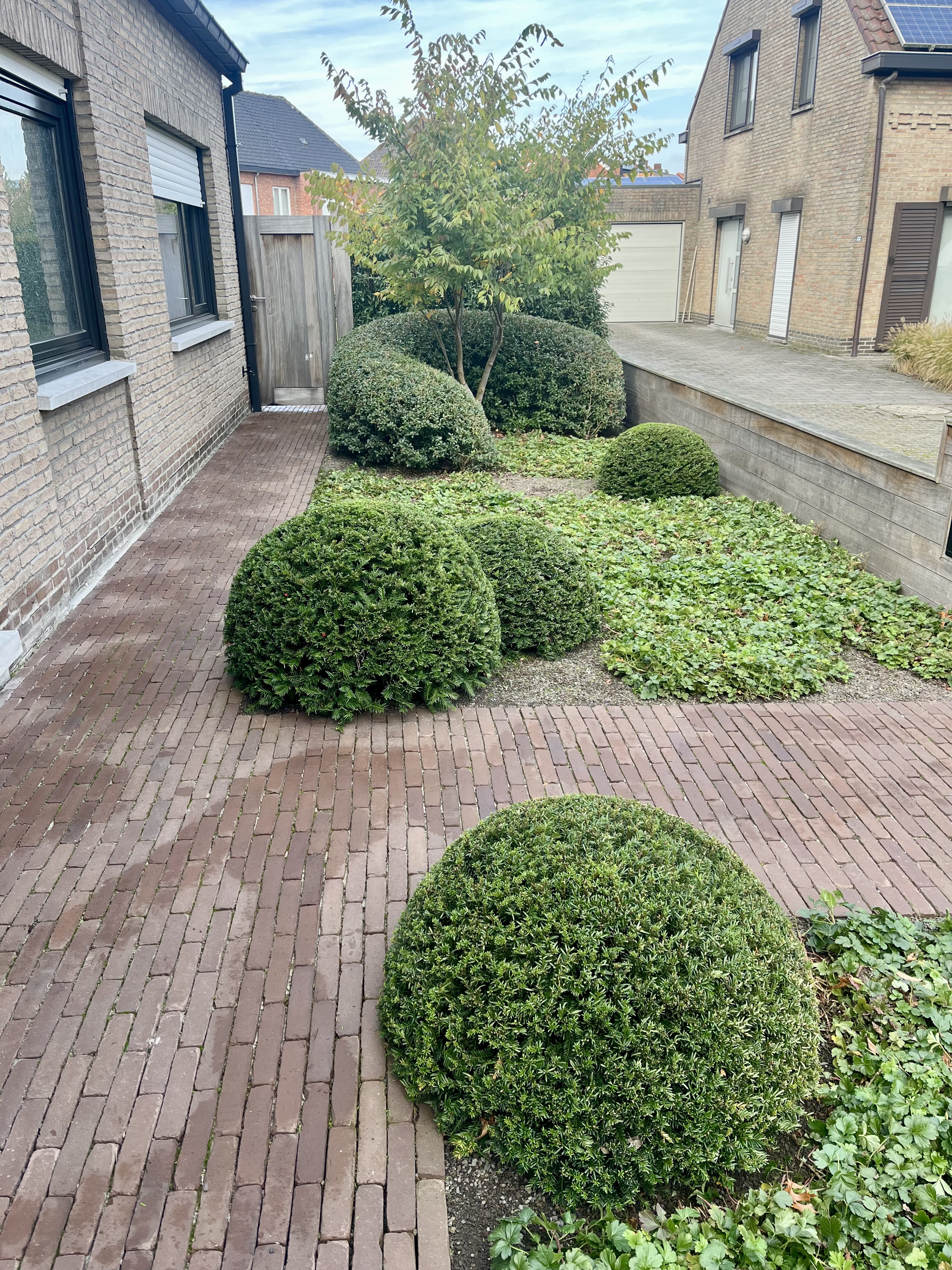 Garden J — foto 3