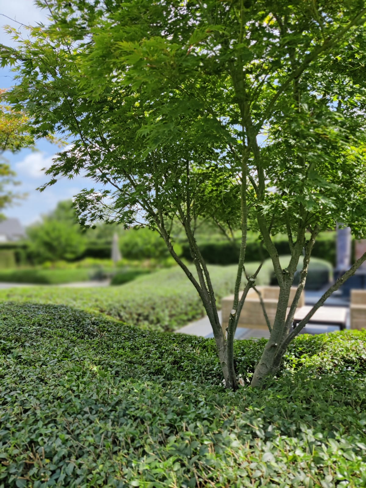 Garden VR-VM — foto 1